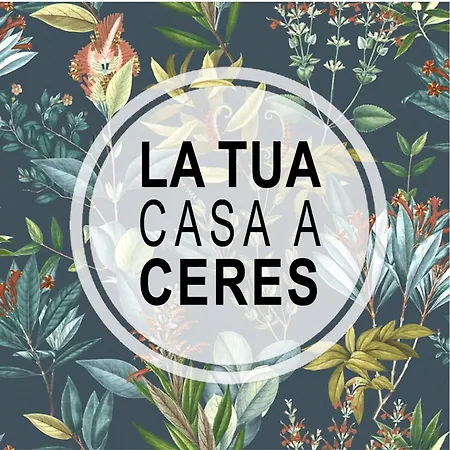 Daire La Chintana *